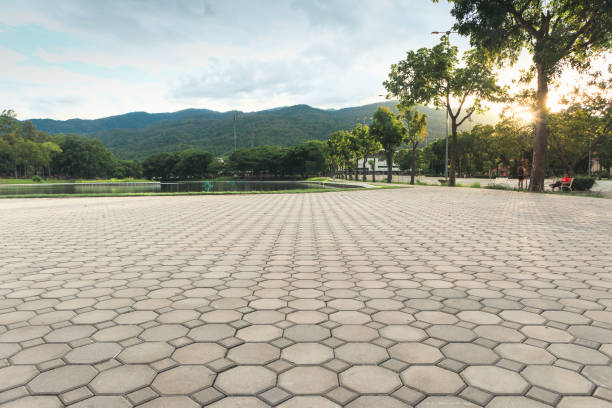 Best Driveway Pavers Near Me  in Stone Park, IL